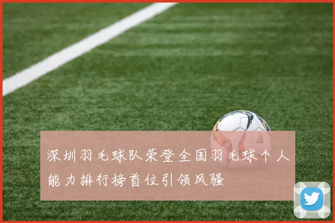 深圳羽毛球队荣登全国羽毛球个人能力排行榜首位引领风骚