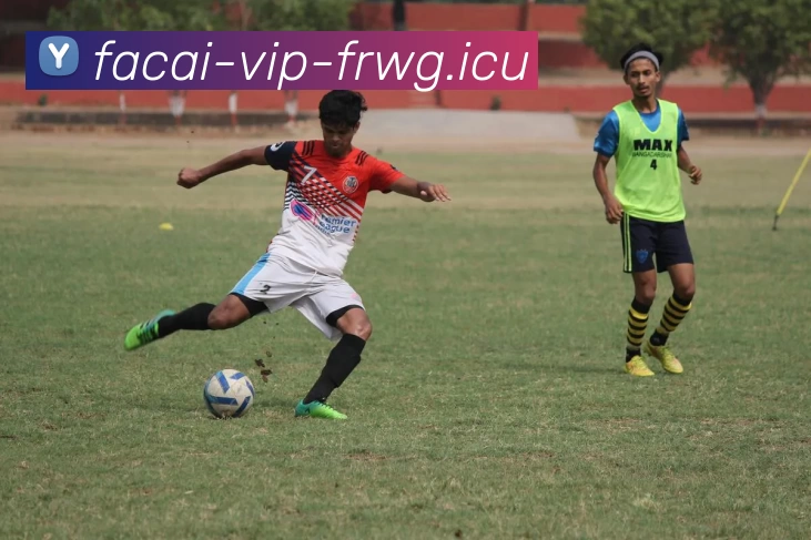 App Interface Preview